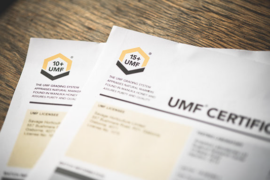 Manuka Honey MGO vs UMF: A Breakdown of the Terminology & Why the Manuka Honey Rating System Is Critical